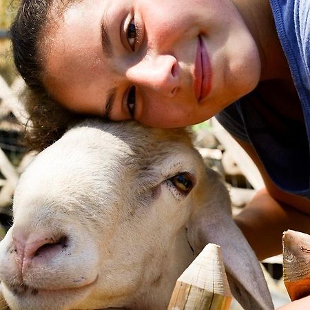 Borgo La Dogana Tuoro sul Trasimeno Bagian luar foto