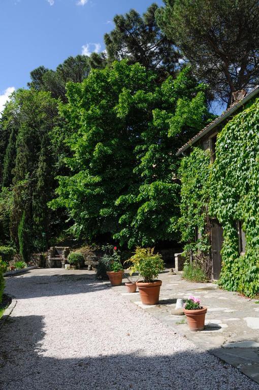 Borgo La Dogana Tuoro sul Trasimeno Bagian luar foto