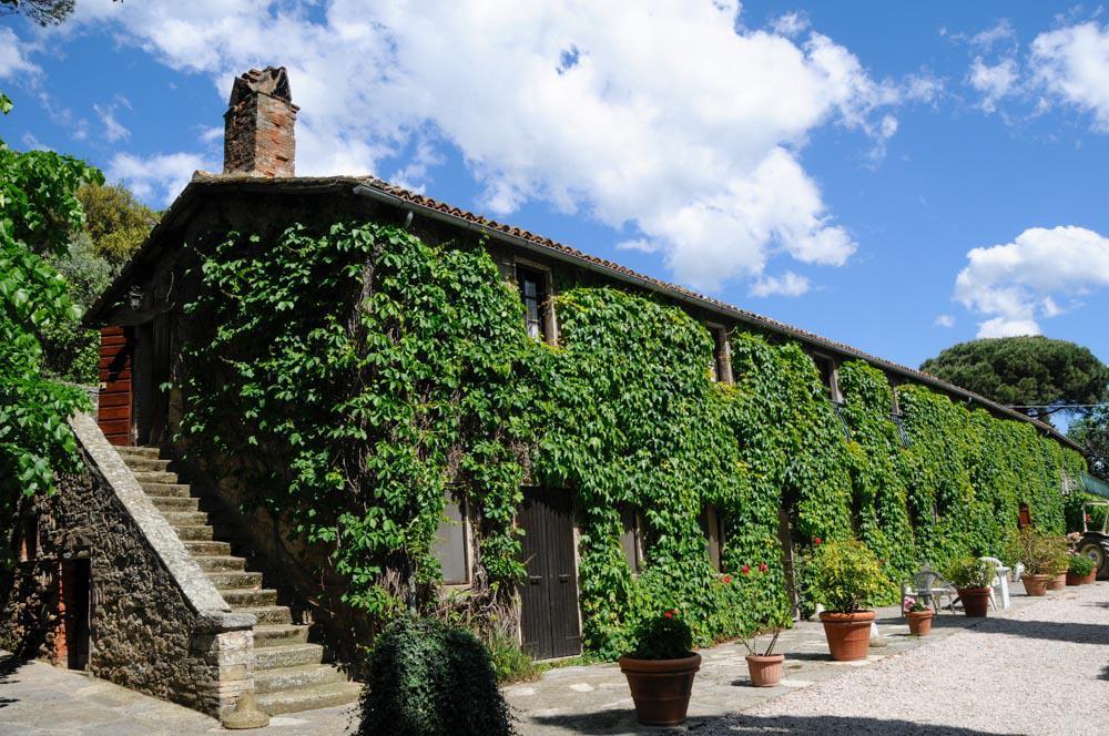 Borgo La Dogana Tuoro sul Trasimeno Bagian luar foto