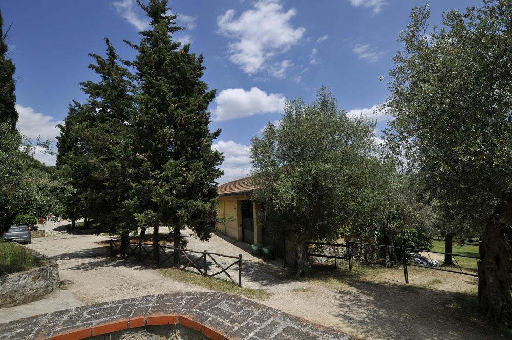 Borgo La Dogana Tuoro sul Trasimeno Bagian luar foto
